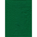 ProMaster Solid Backdrop 10'x12' - Chroma Green