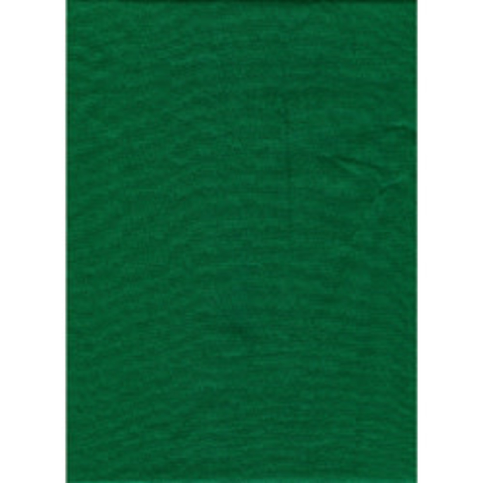ProMaster Solid Backdrop 10'x12' - Chroma Green