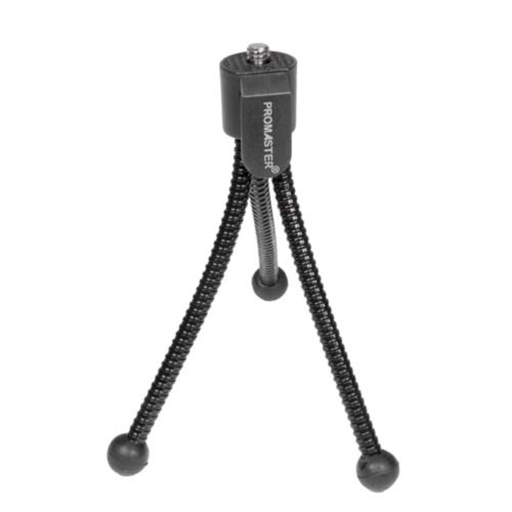 Flexipod Mini Tripod Stewarts Photo