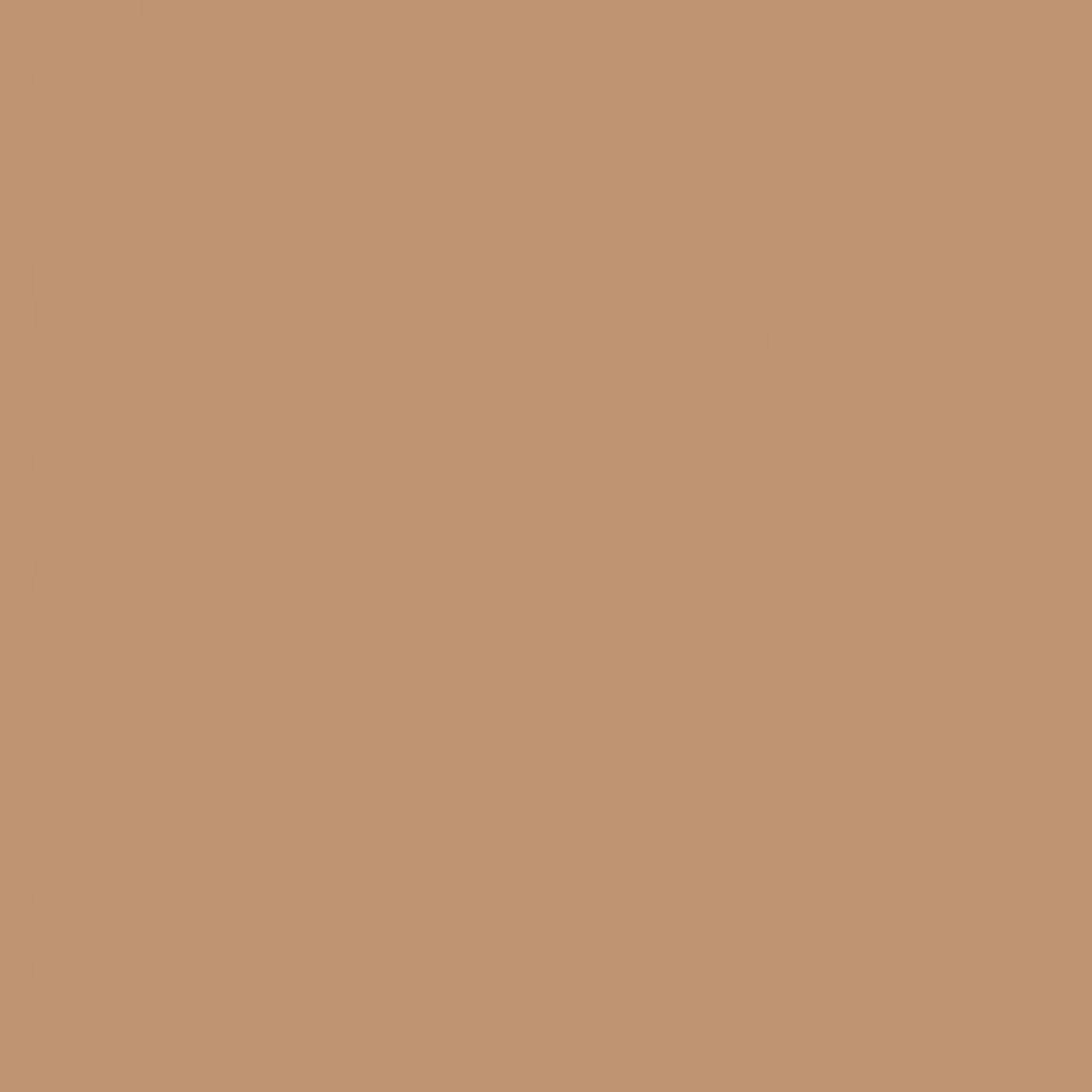 Savage Savage Widetone Seamless Background Paper (#76 Mocha, 53" x 36')