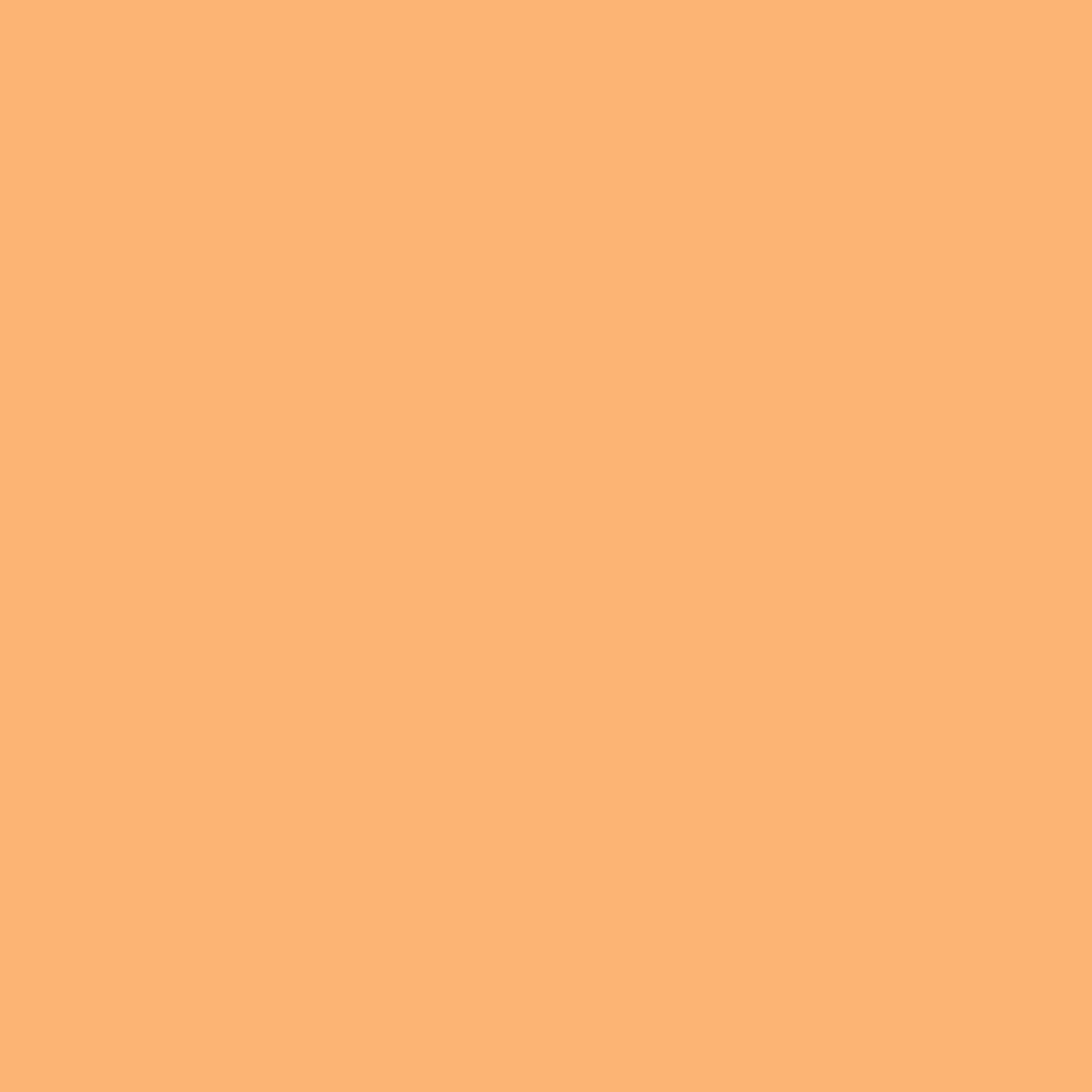 Rosco Rosco E-Colour #204 Full CTO Orange (21 x 24" Sheet)