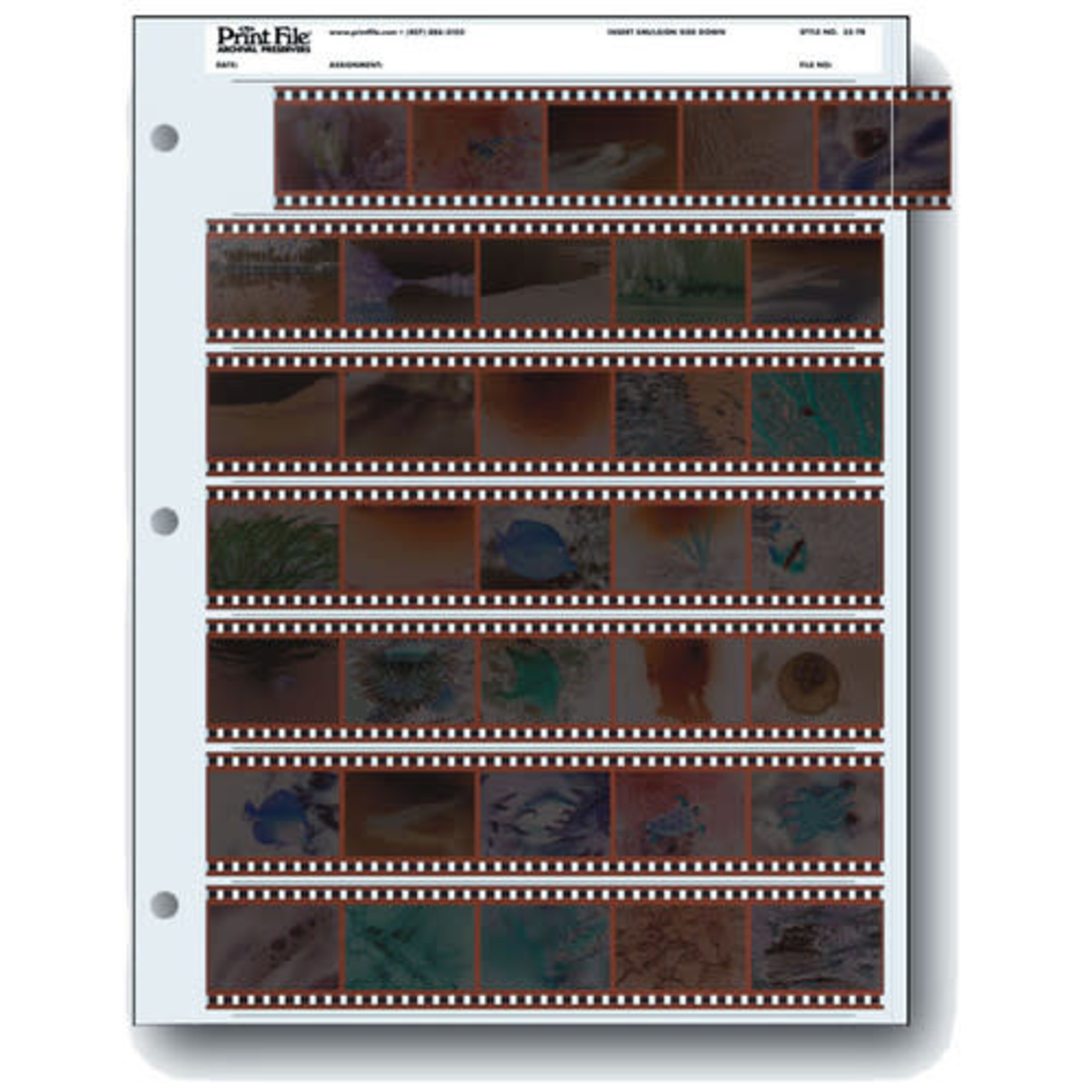 PrintFile Print File 35mm Archival Storage Pages for Negatives (25 Pack)