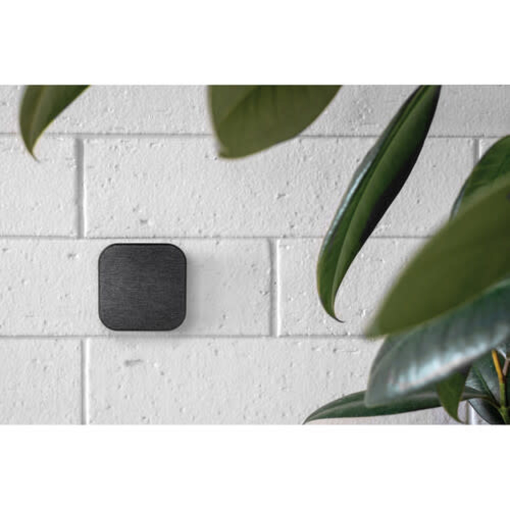 Peak Design Peak Design Mobile Smartphone Magnetic Wall Mount (Charcoal)