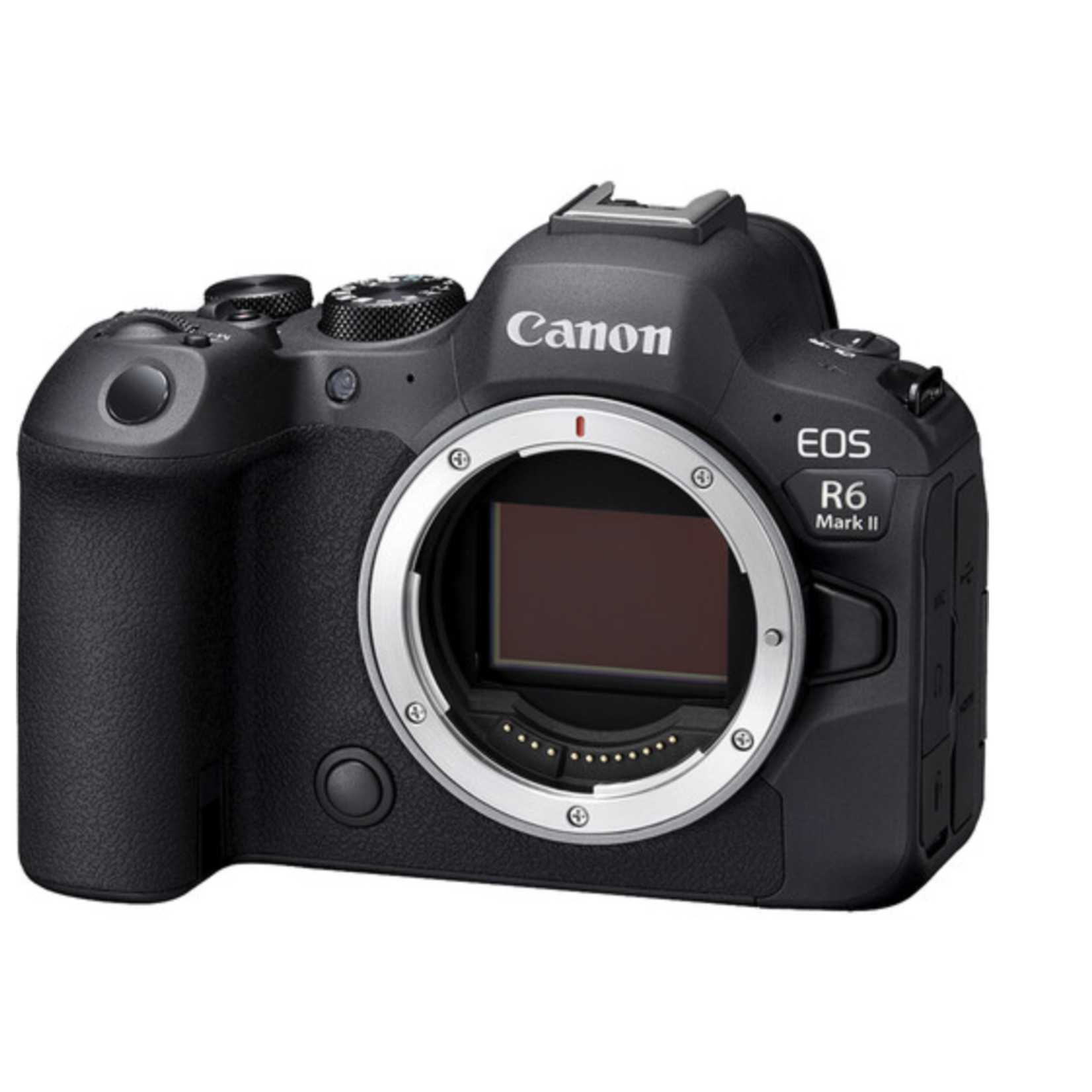 Canon Canon EOS R6 Mark II Mirrorless Camera