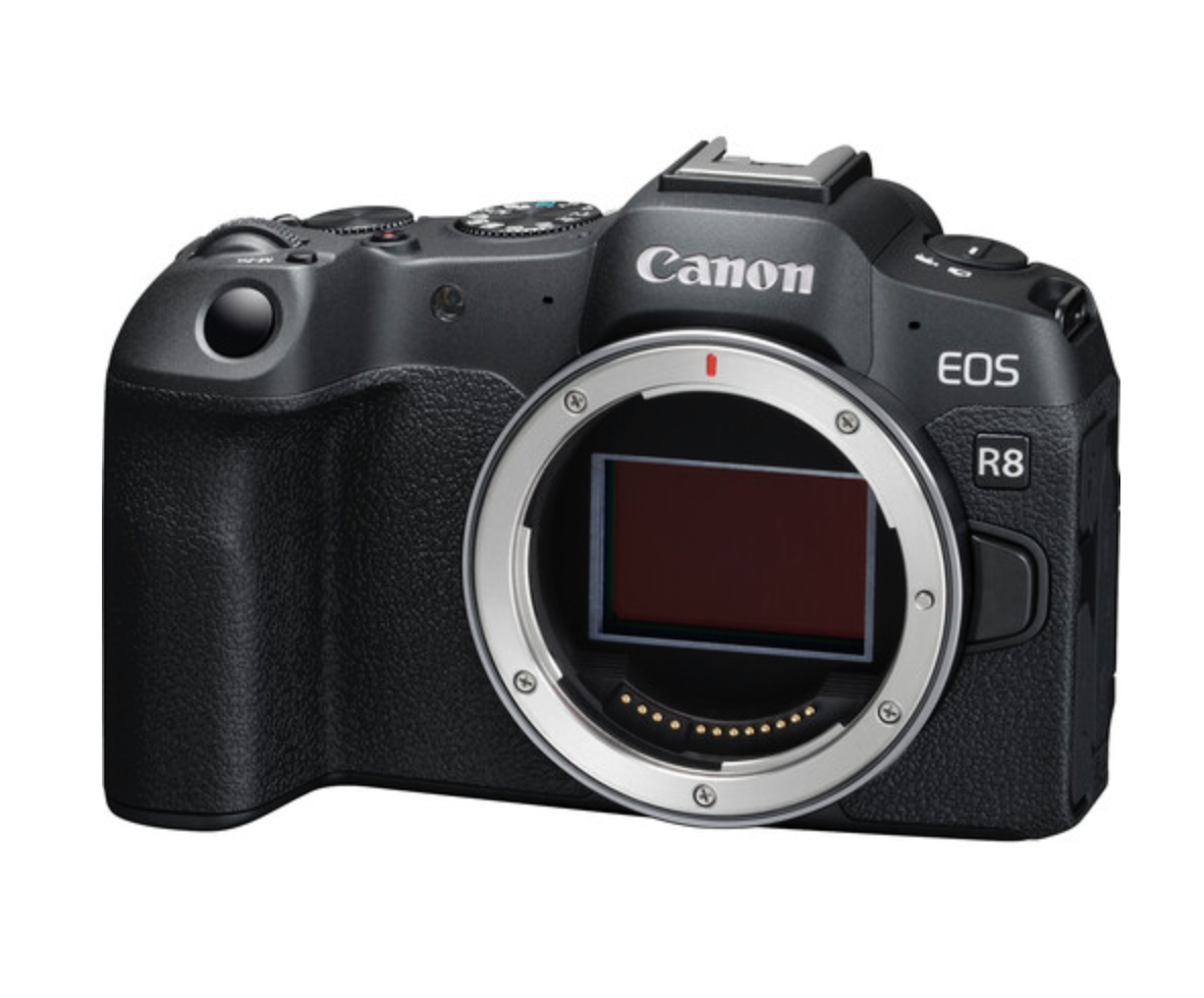 Canon EOS R8 Mirrorless Camera - Stewarts Photo