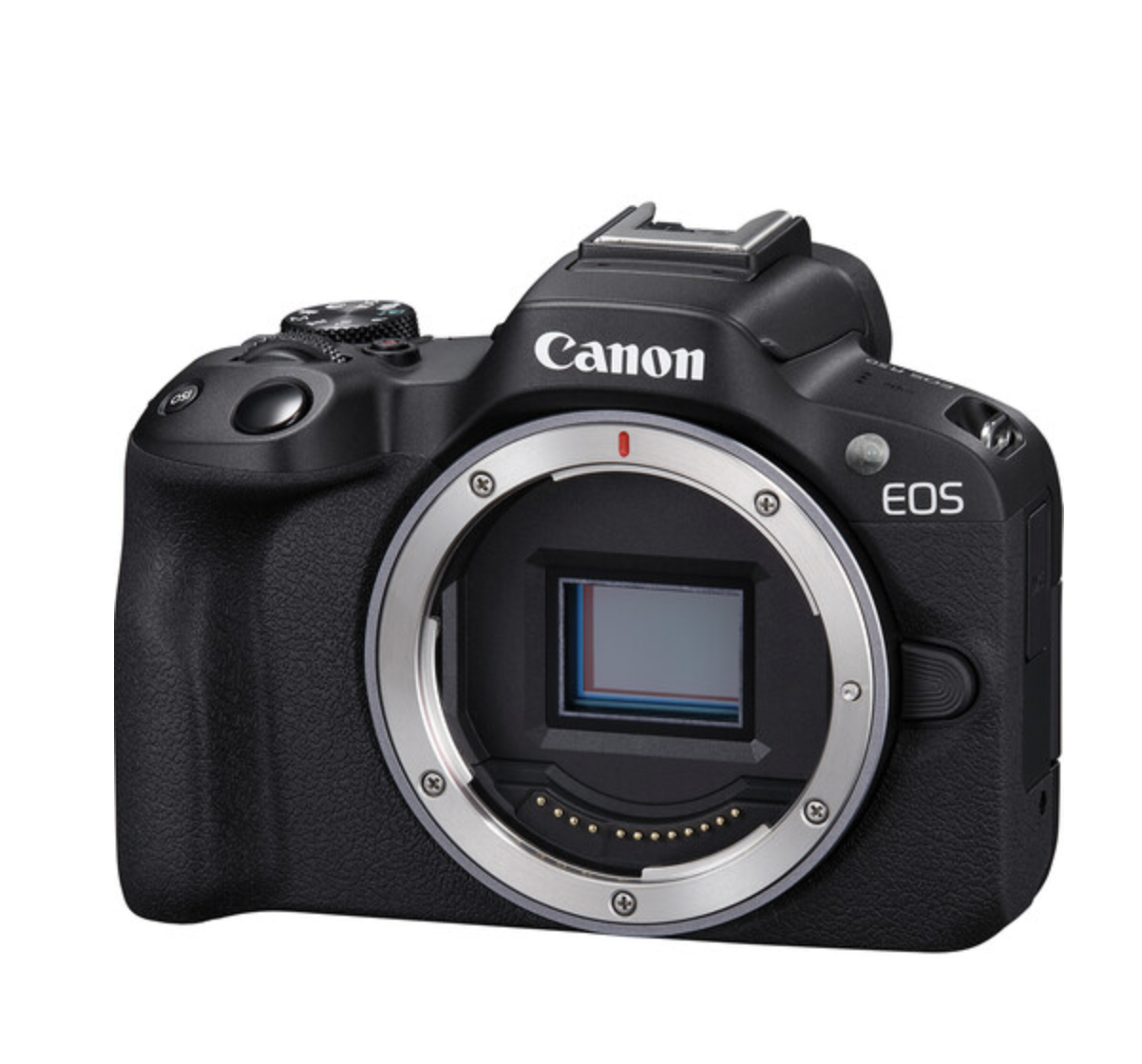 Canon EOS R50 Mirrorless Camera - Stewarts Photo