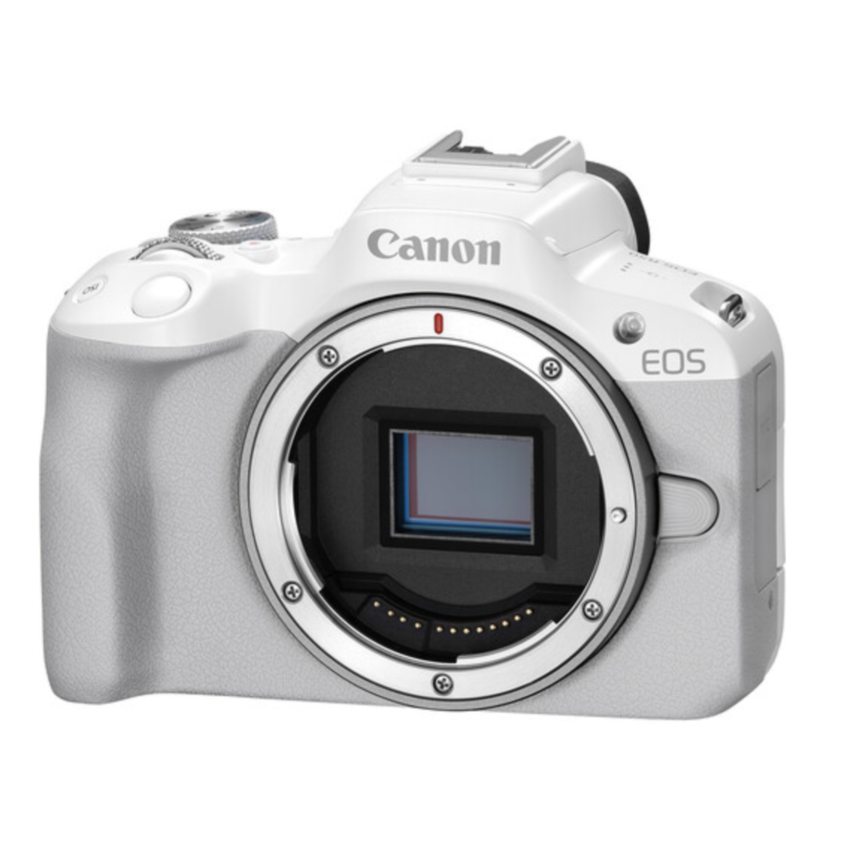 Canon Canon EOS R50 Mirrorless Camera