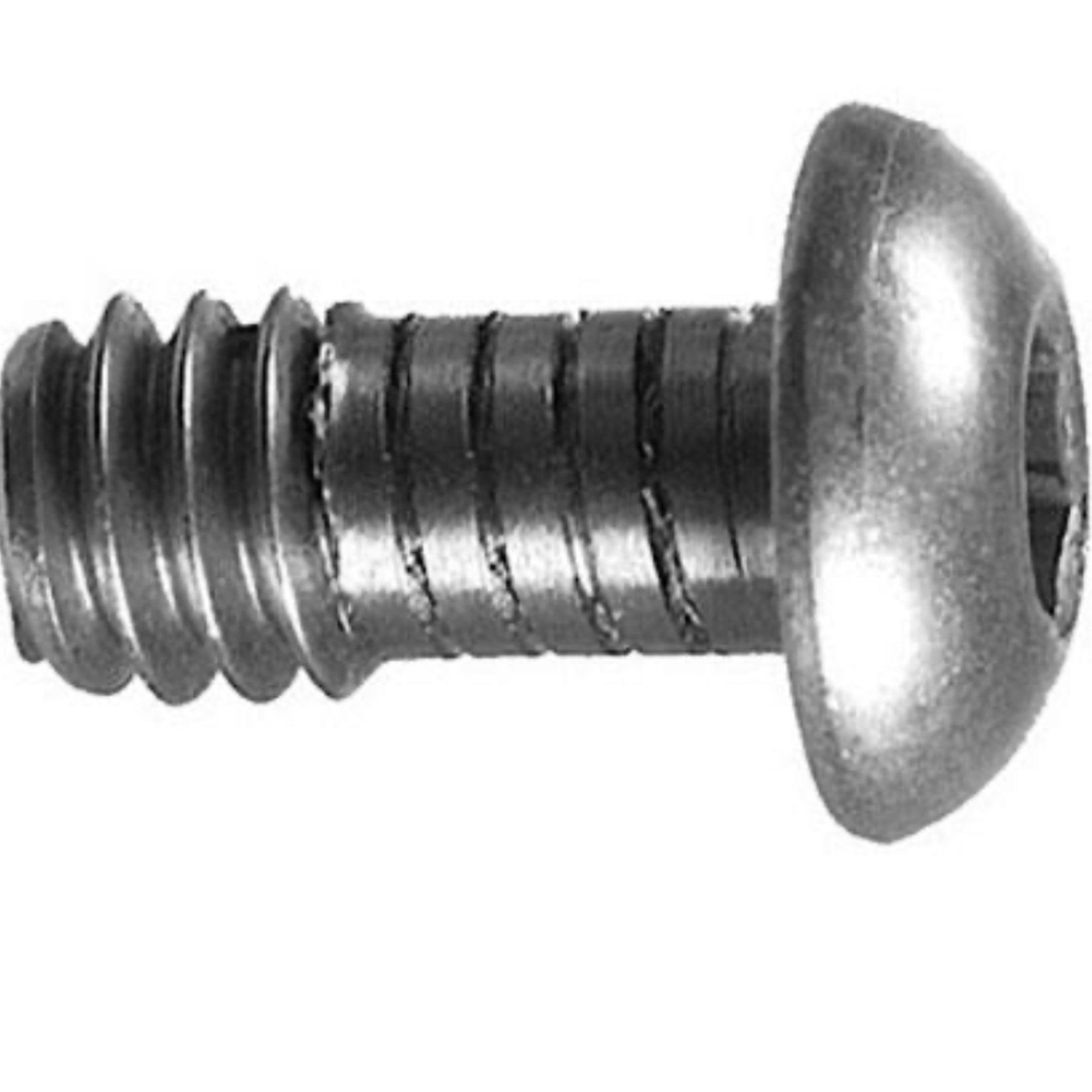 Wimberley Wimberley SW-100 Extra Screw (1/4-20") for Quick Release Plates