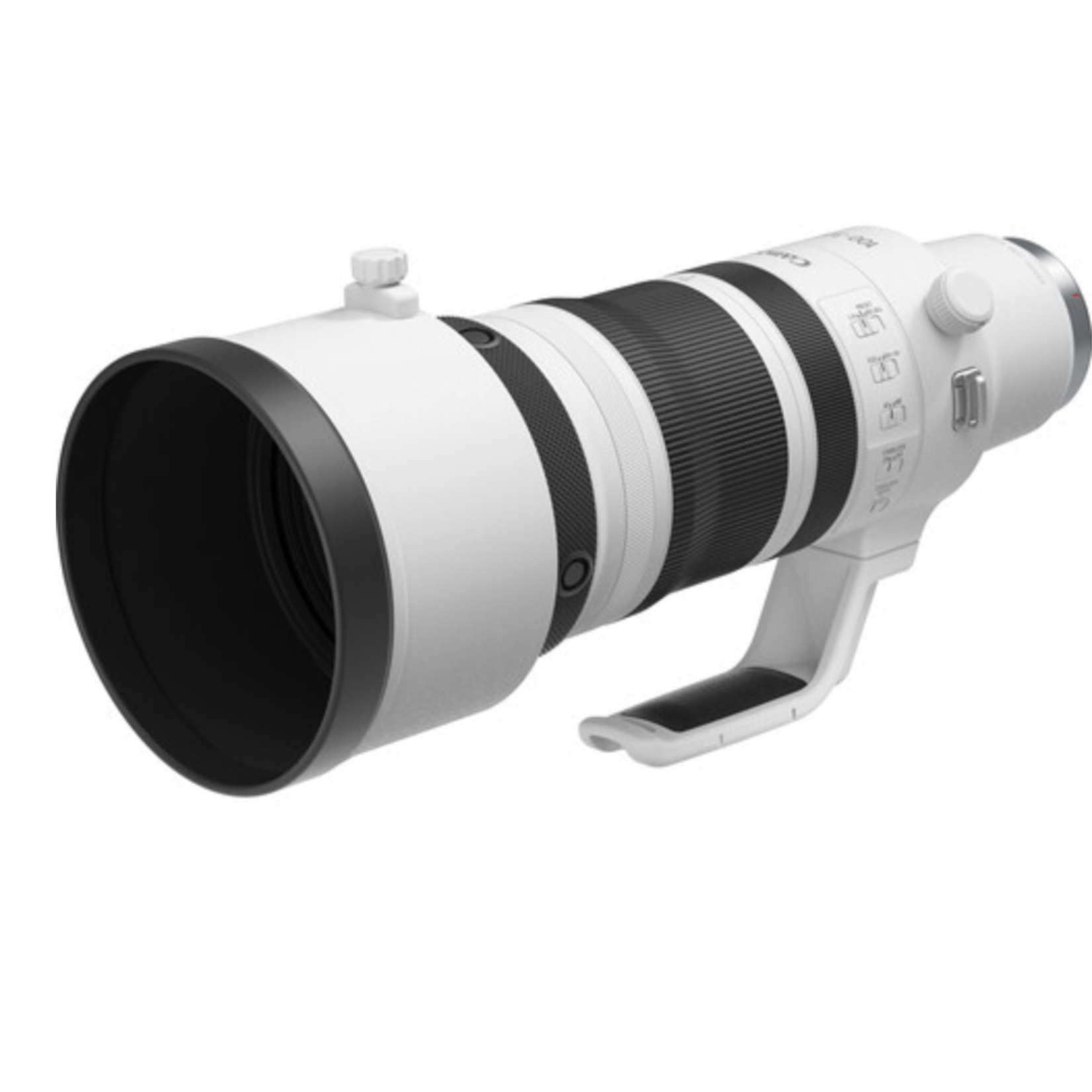 Canon Canon RF 100-300mm f/2.8 L IS USM Lens (Canon RF)