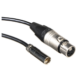 Mini XLR to XLR Audio Cable 20" pair