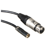 Mini XLR to XLR Audio Cable 20"