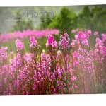 AlaskaWild 2024 Book