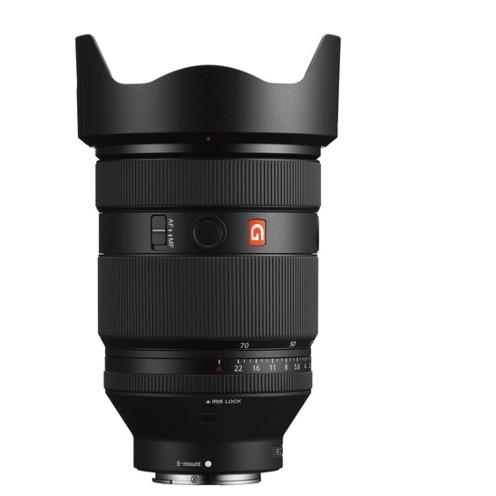 Sony Sony FE 28-70mm f/2 GM Lens (Sony E)