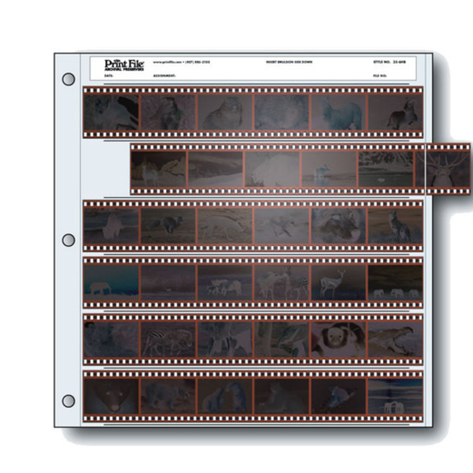 PrintFile Print File Archival Storage Page for Negatives, 35mm - 25 Packs