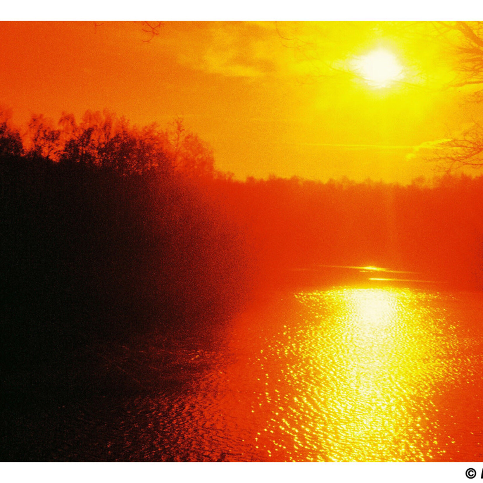 Harman Harman Red 125 - 35mm Film