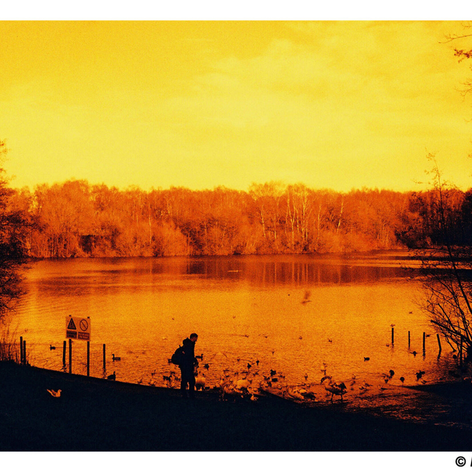 Harman Harman Red 125 - 35mm Film