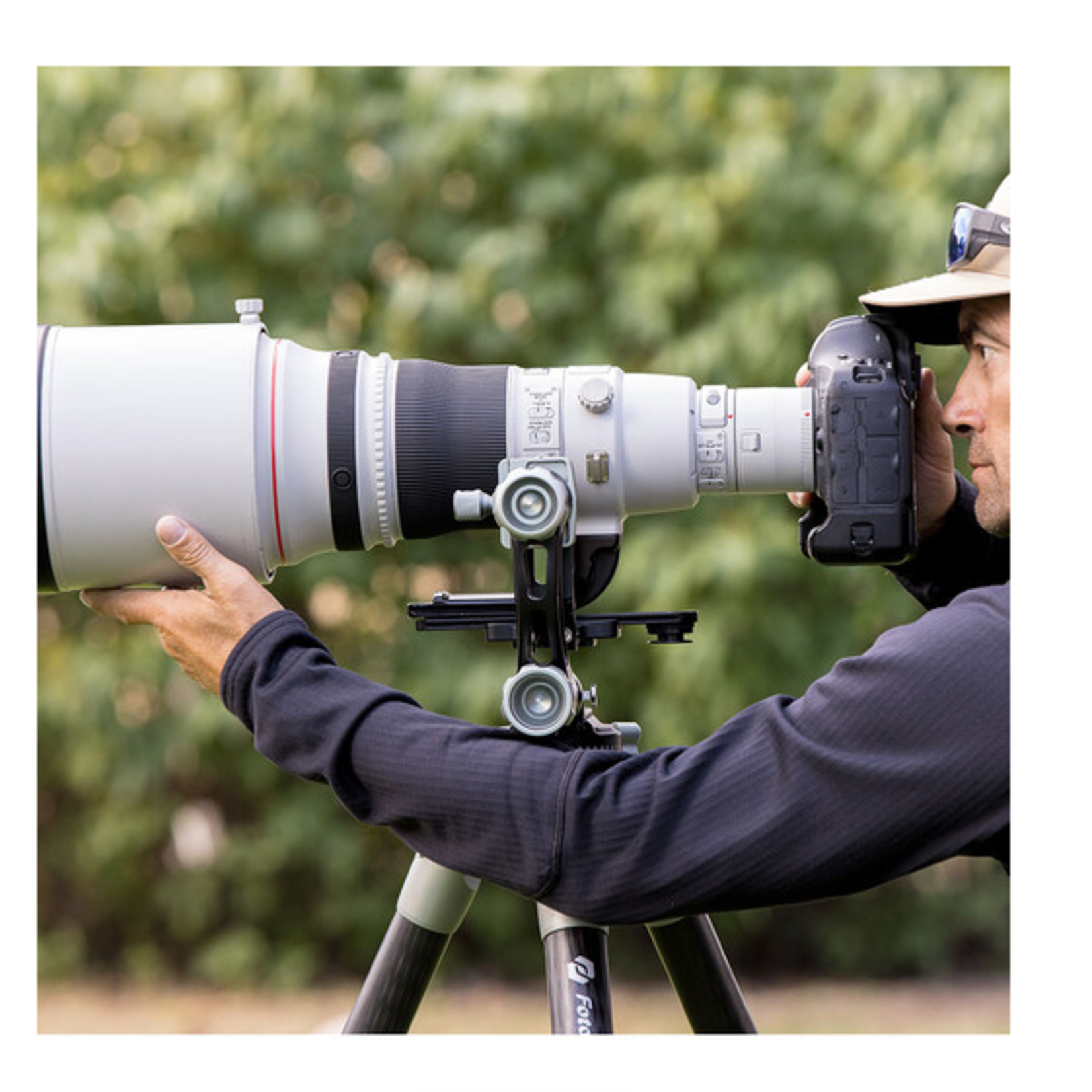 Cotton Cotton Carrier Gimbal Style Tripod Plate