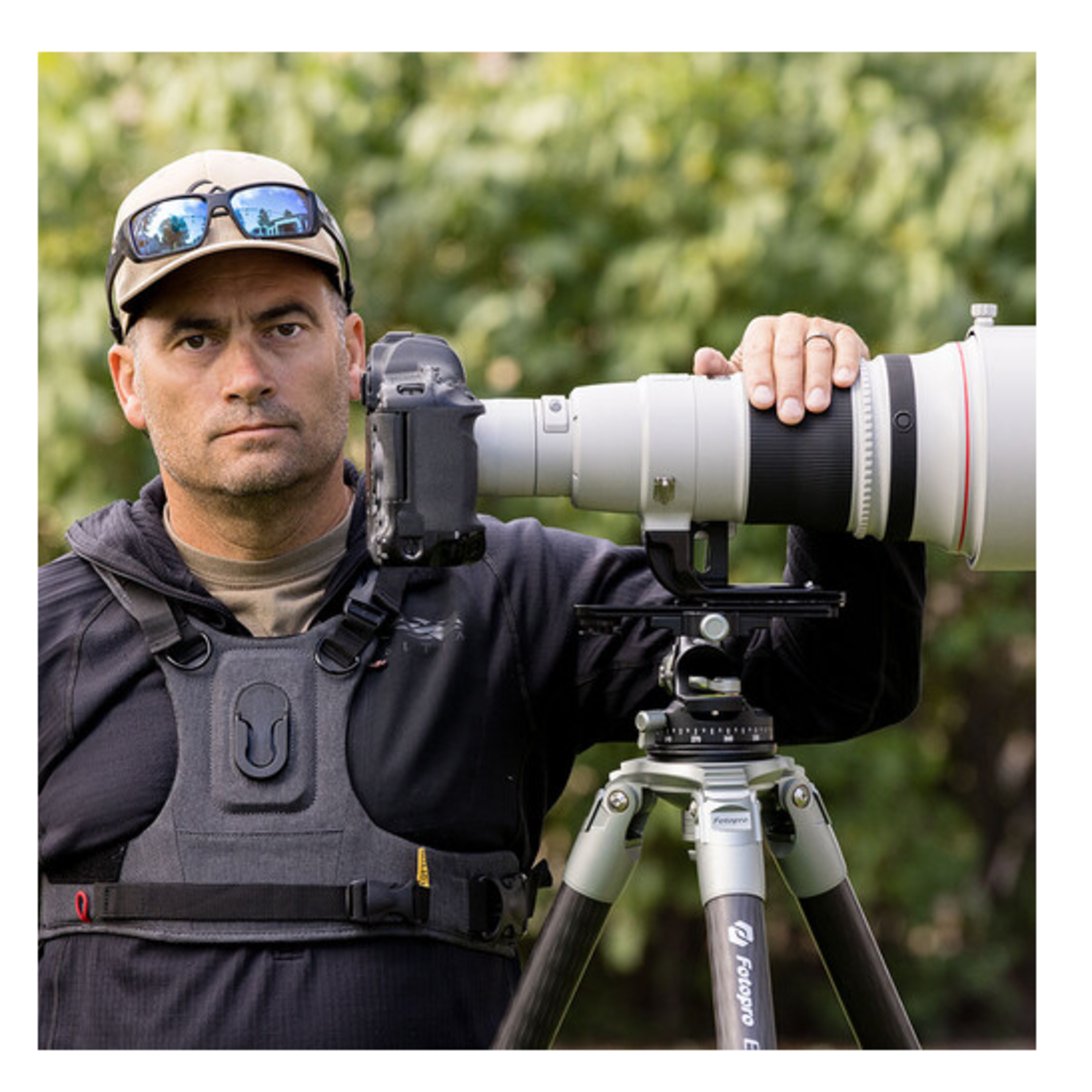 Cotton Cotton Carrier Gimbal Style Tripod Plate
