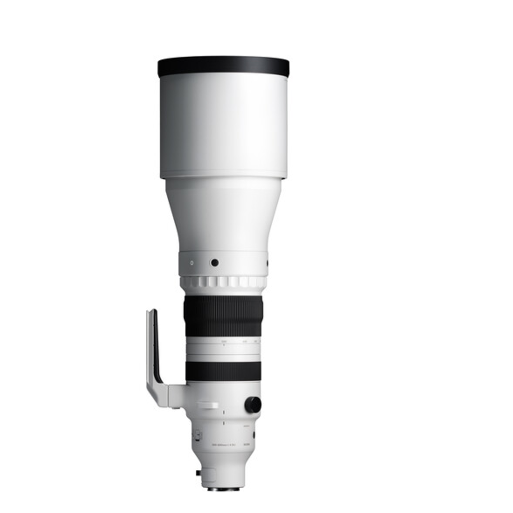 Sony Sigma 300-600mm f/4 DG OS Sports Lens (Sony E)