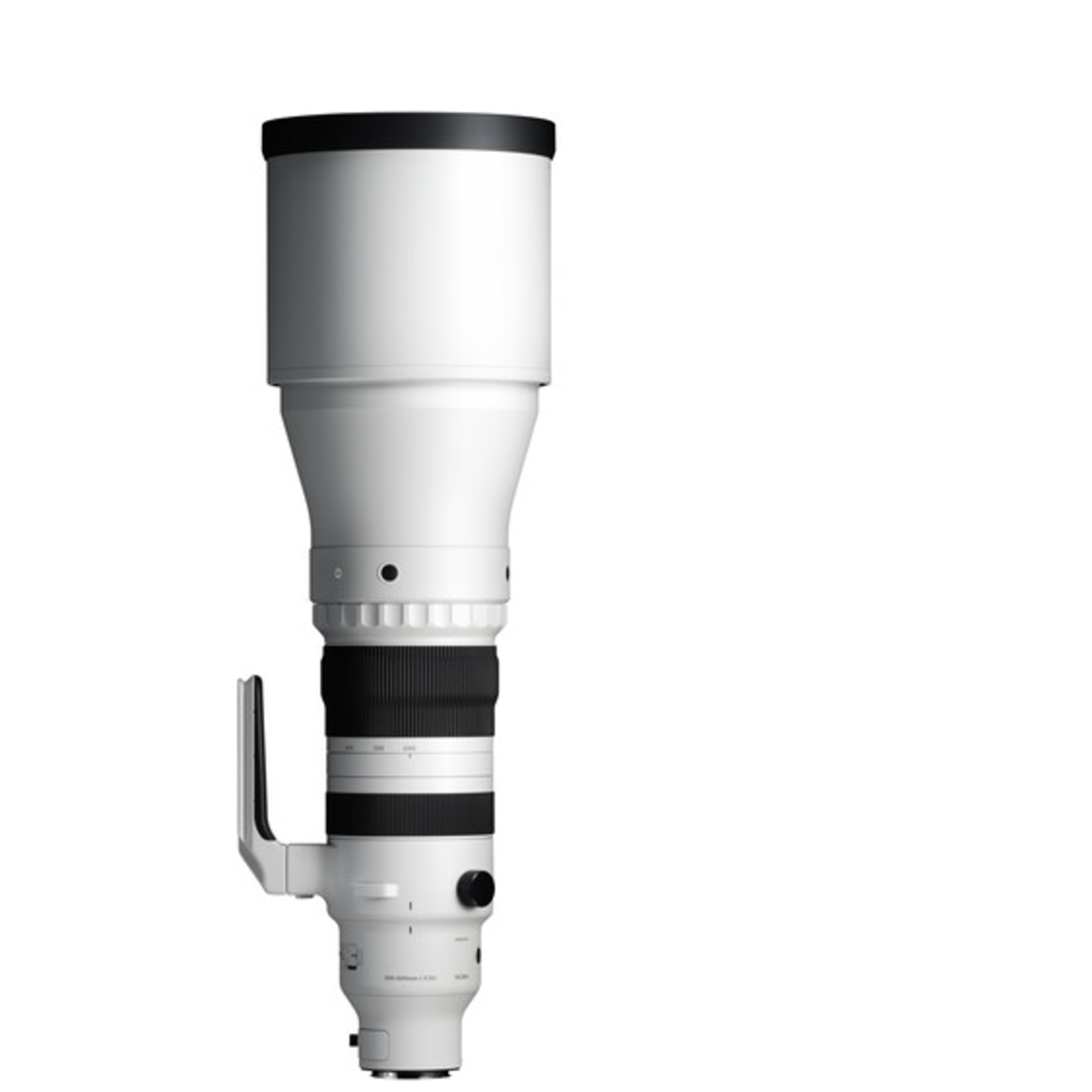 Sony Sigma 300-600mm f/4 DG OS Sports Lens (Sony E)