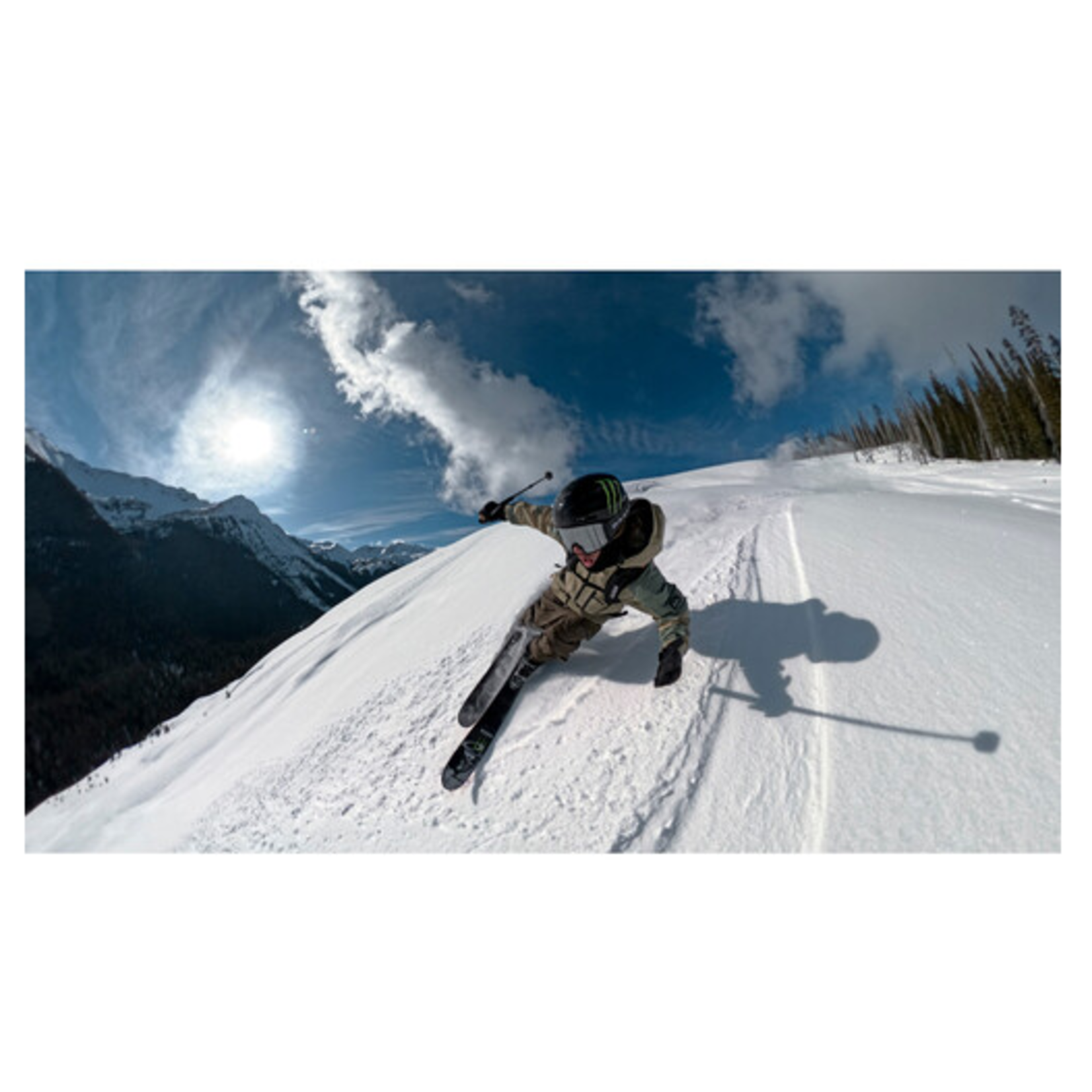 GoPro GoPro Extension Pole (48")