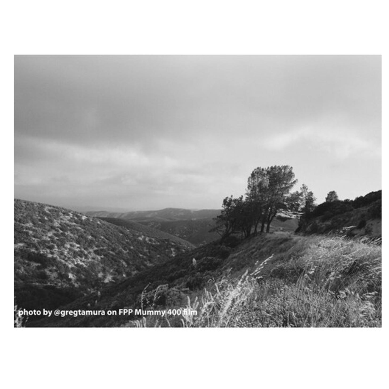 Film Photography Project Film Photography Project Mummy 400 Black and White Negative Film (35mm, 24 Exposures)