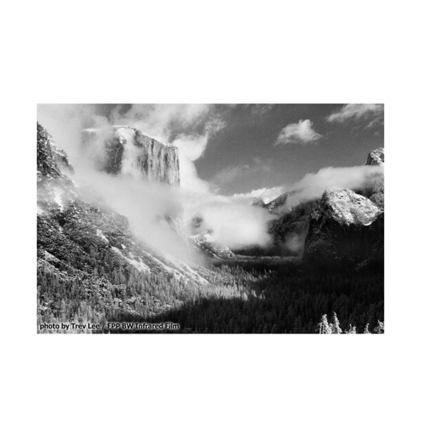 Film Photography Project Film Photography Project Infrared Black and White Negative Film (35mm, 24 Exposures)