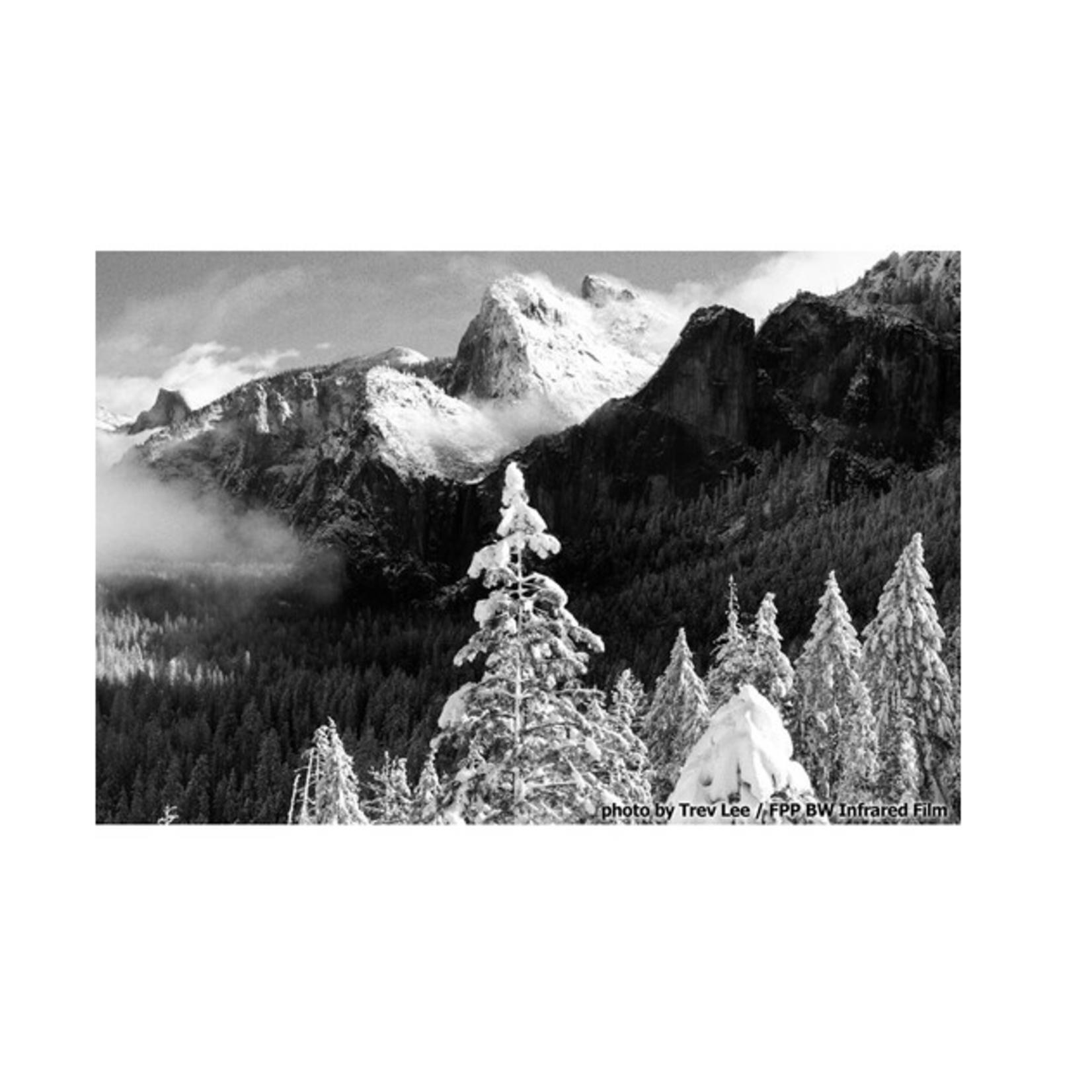 Film Photography Project Film Photography Project Infrared Black and White Negative Film (35mm, 24 Exposures)