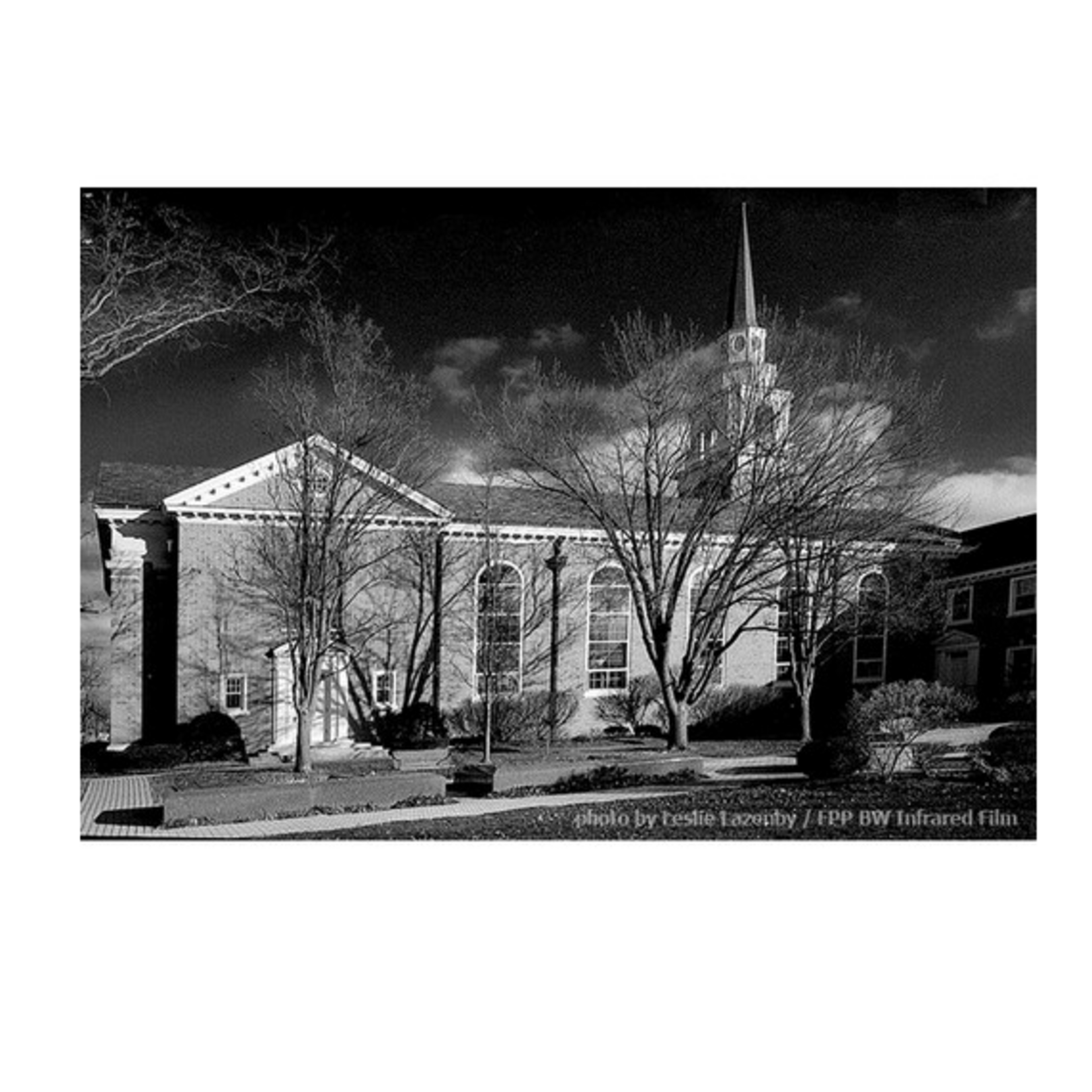 Film Photography Project Film Photography Project Infrared Black and White Negative Film (35mm, 24 Exposures)