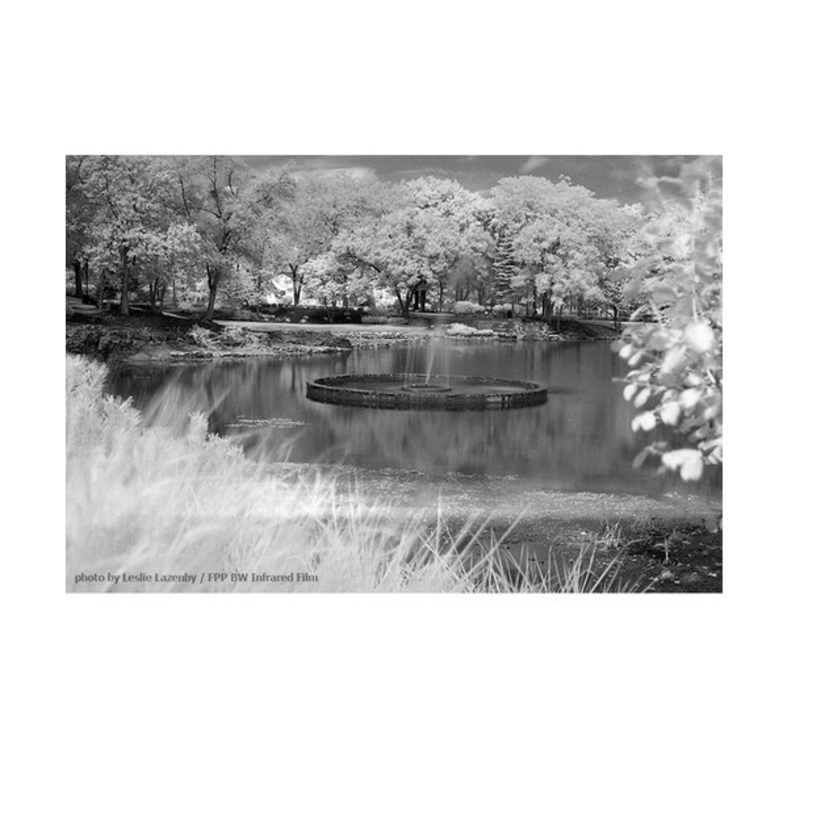 Film Photography Project Film Photography Project Infrared Black and White Negative Film (35mm, 24 Exposures)