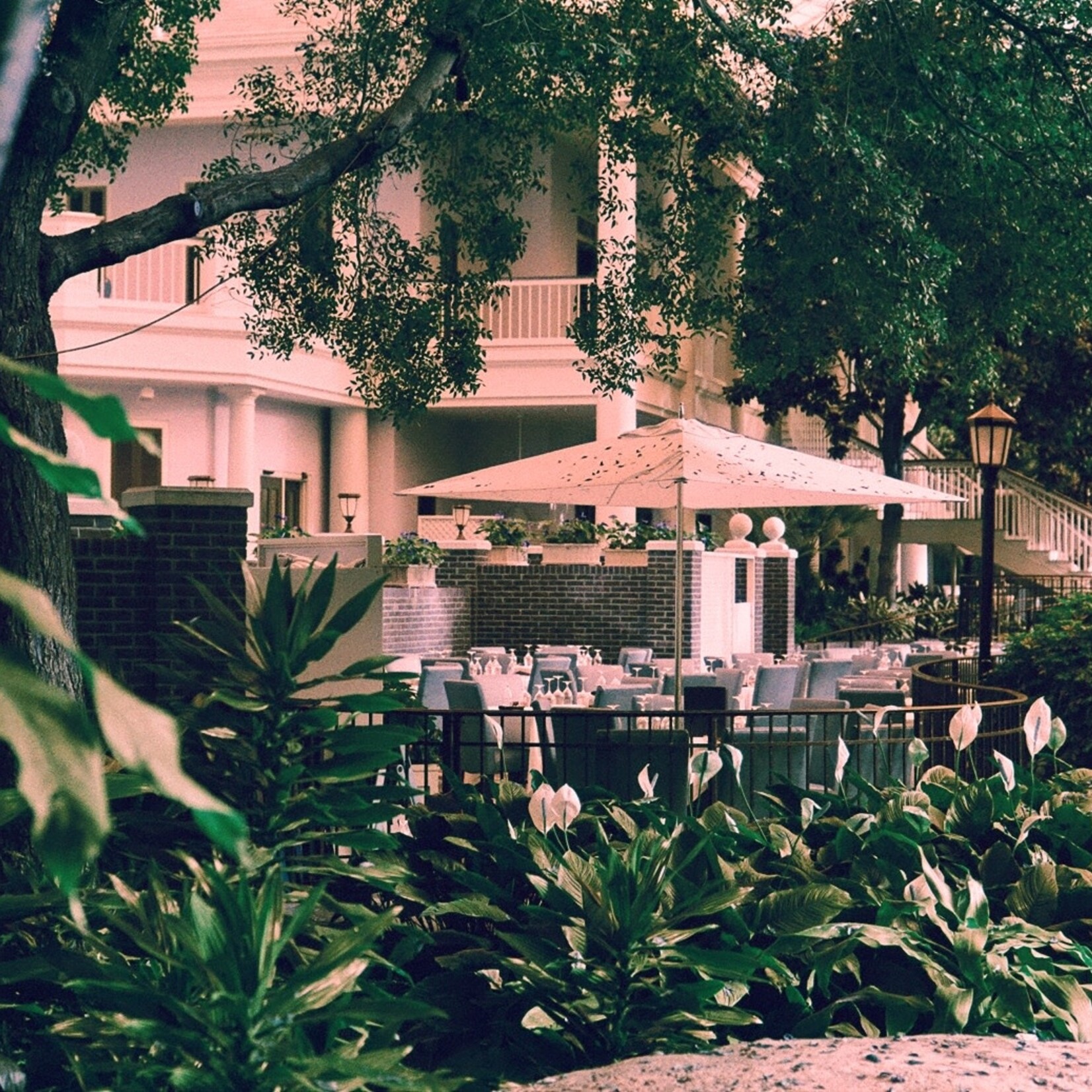 Harman Harman Switch Azure 35mm - 36 Exp.