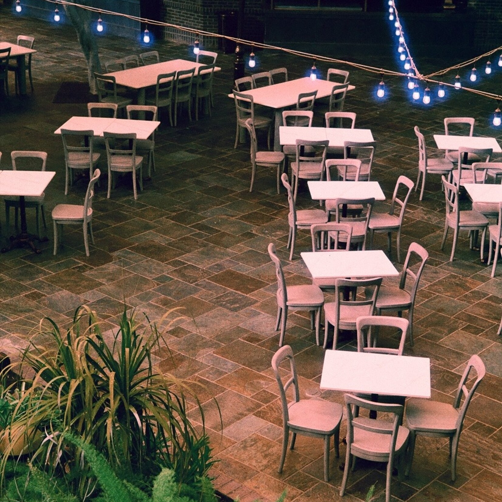 Harman Harman Switch Azure 35mm - 36 Exp.