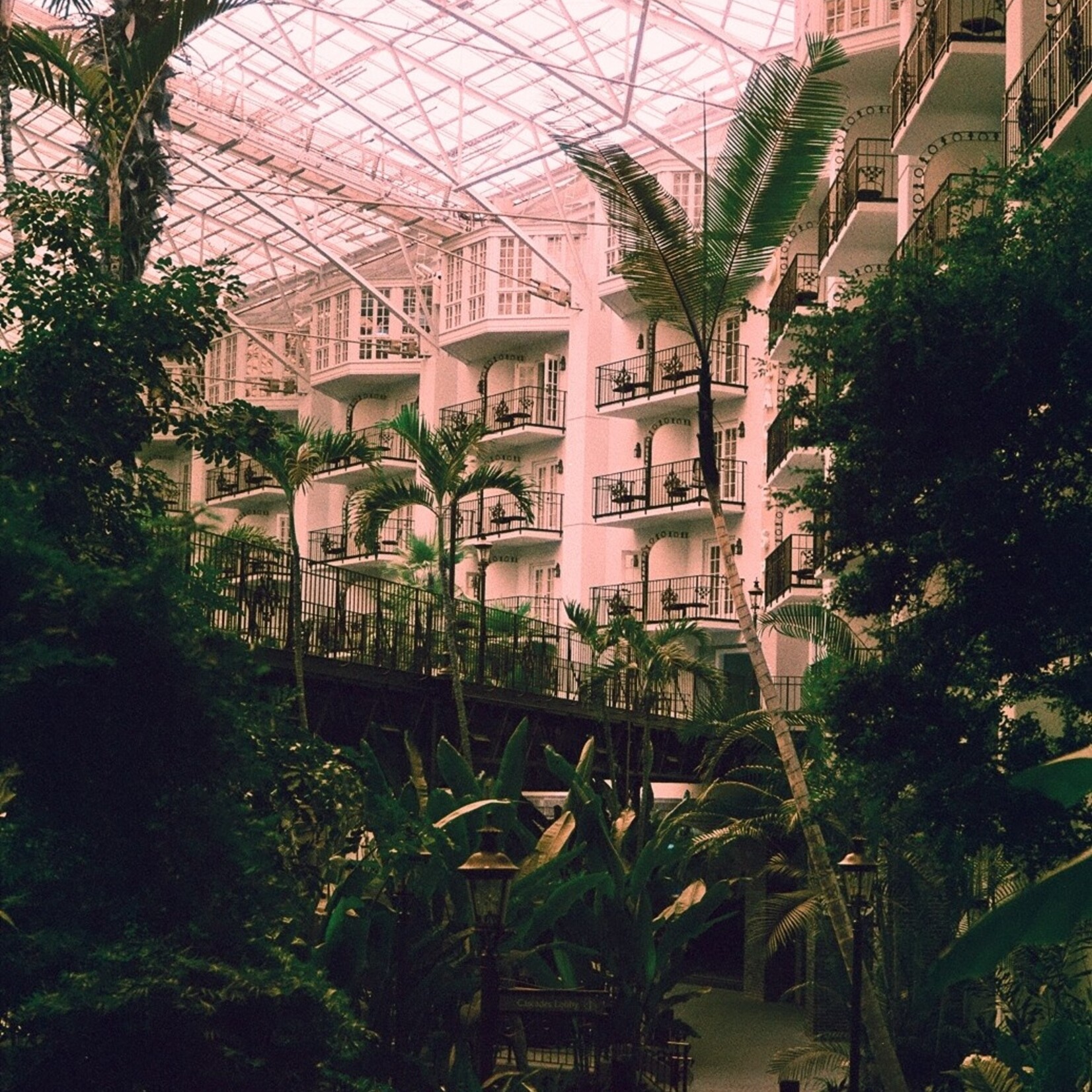 Harman Harman Switch Azure 35mm - 36 Exp.