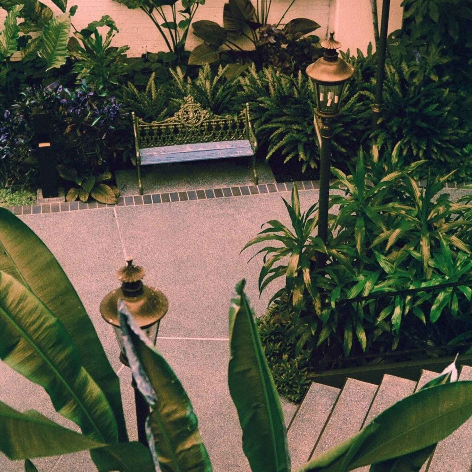 Harman Harman Switch Azure 35mm - 36 Exp.