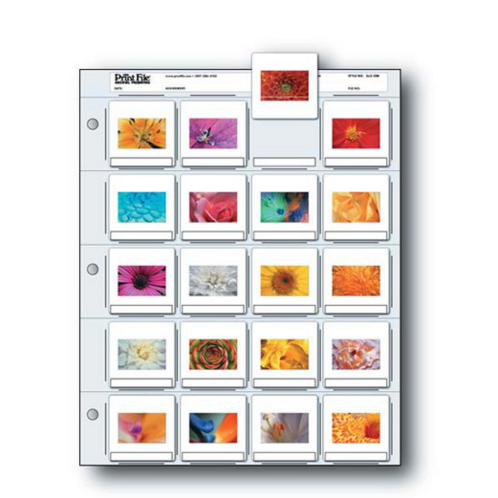 PrintFile Print File Archival Storage Page for Slides - 25 Pack