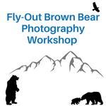 Fly-Out Brown Bear Photography Workshop
