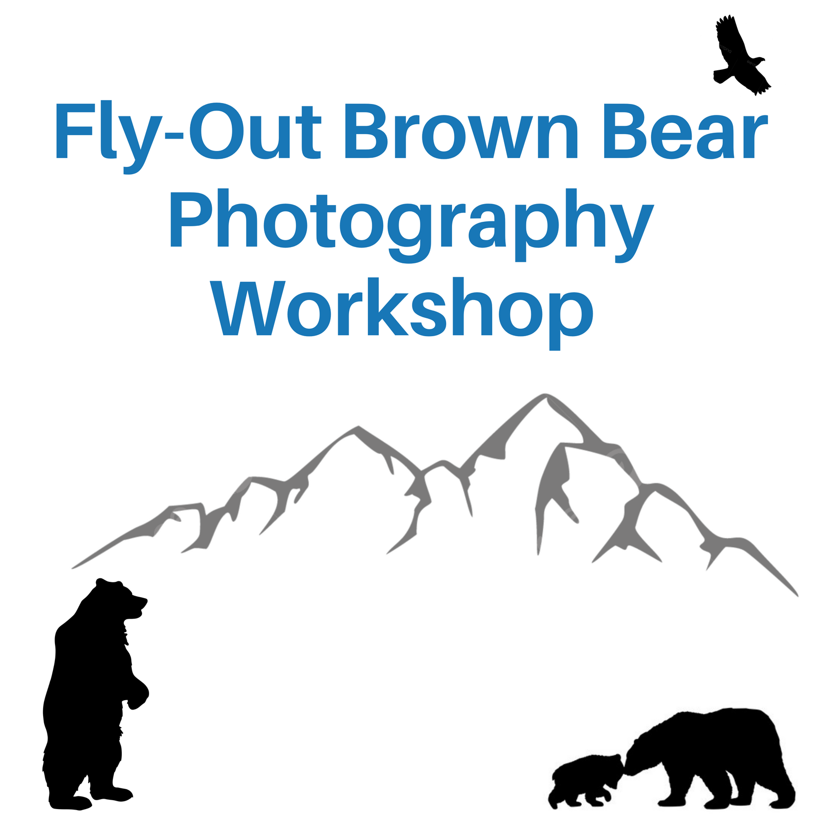 Fly-Out Brown Bear Photography Workshop