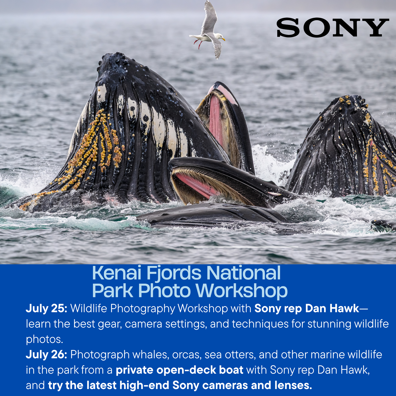 Kenai Fjords National Park Photo Workshop