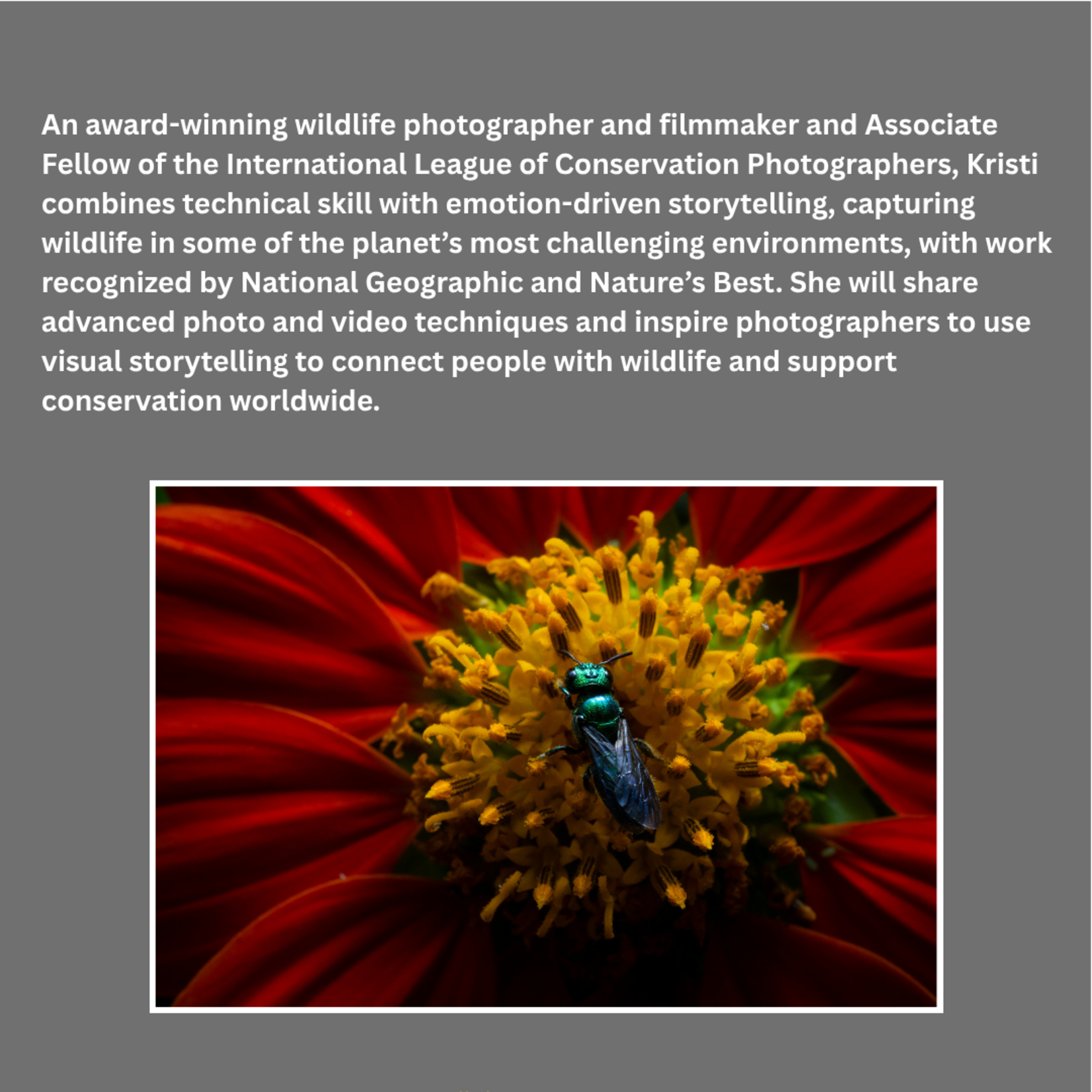 Sept 11: Kristi Odom, Nikon Ambassador Presentation