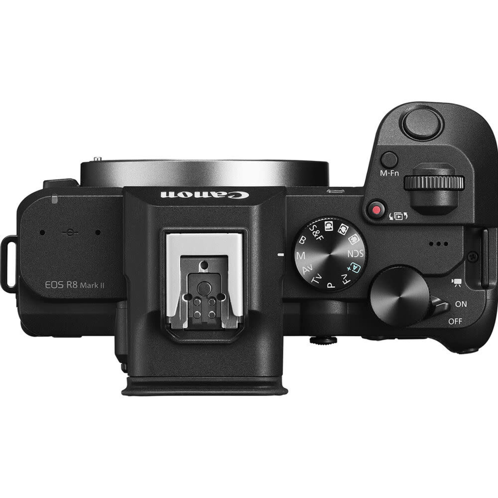 Canon Canon EOS R8 Mark II Mirrorless Camera