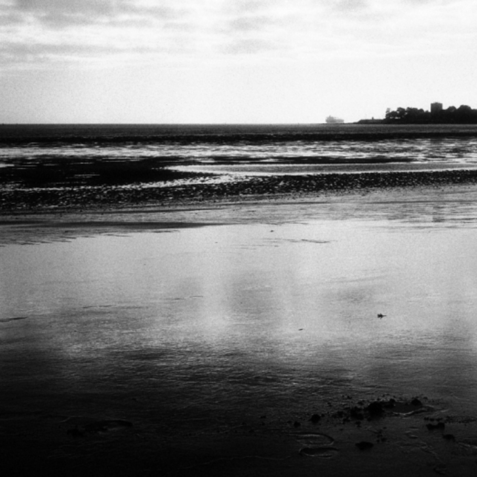 Film Washi "F" 100 ISO 35mm x 24 exp. - Re-purposed Specialty Film