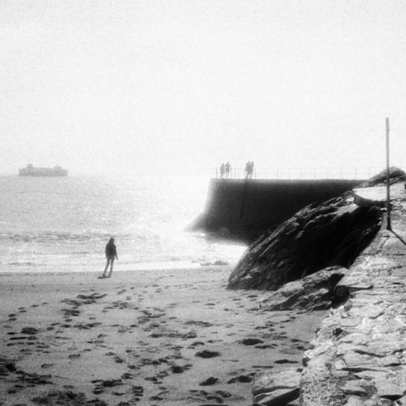 Film Washi "F" 100 ISO 35mm x 24 exp. - Re-purposed Specialty Film