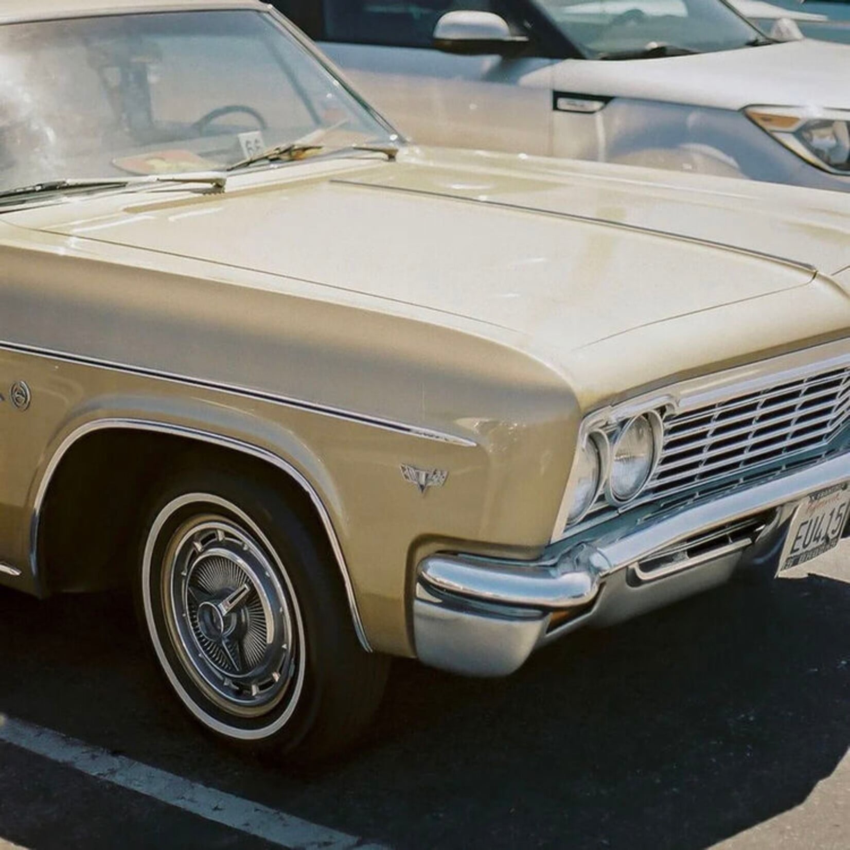 CANDIDO 400 Color Negative Film (35mm Roll Film, 36 Exposures)