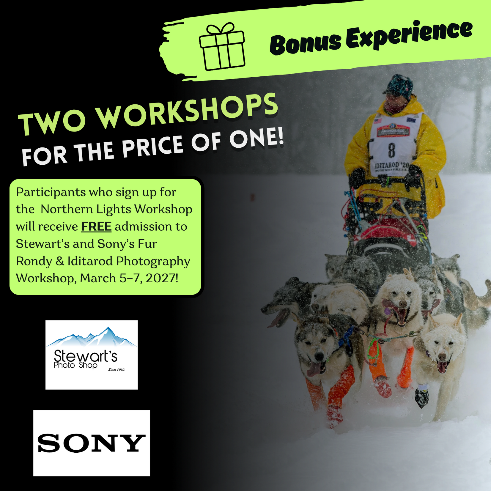 Northern Lights Photography Workshop