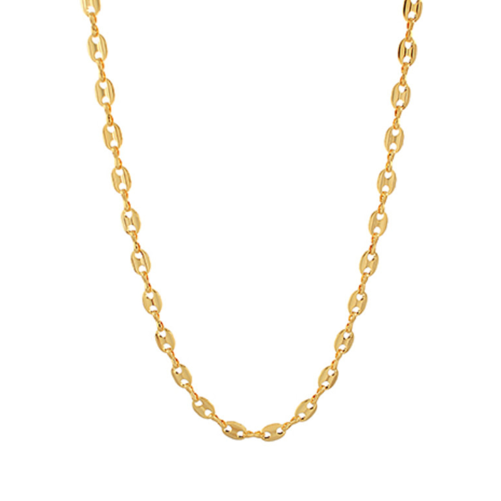 Linked Chain- Gold