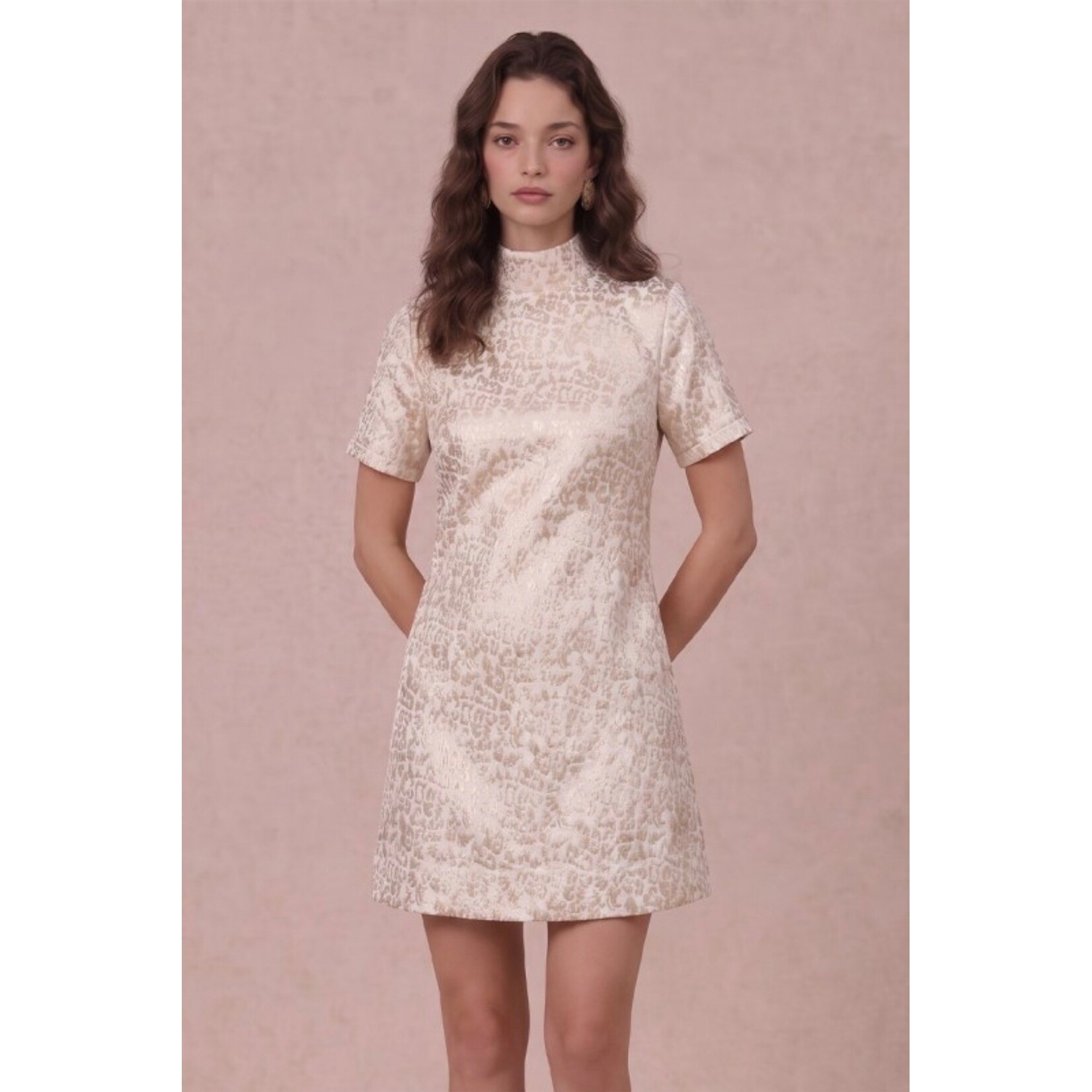 The Lainey Dress