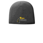 Trans Alliance _Fleece Lined Beanie CP91L