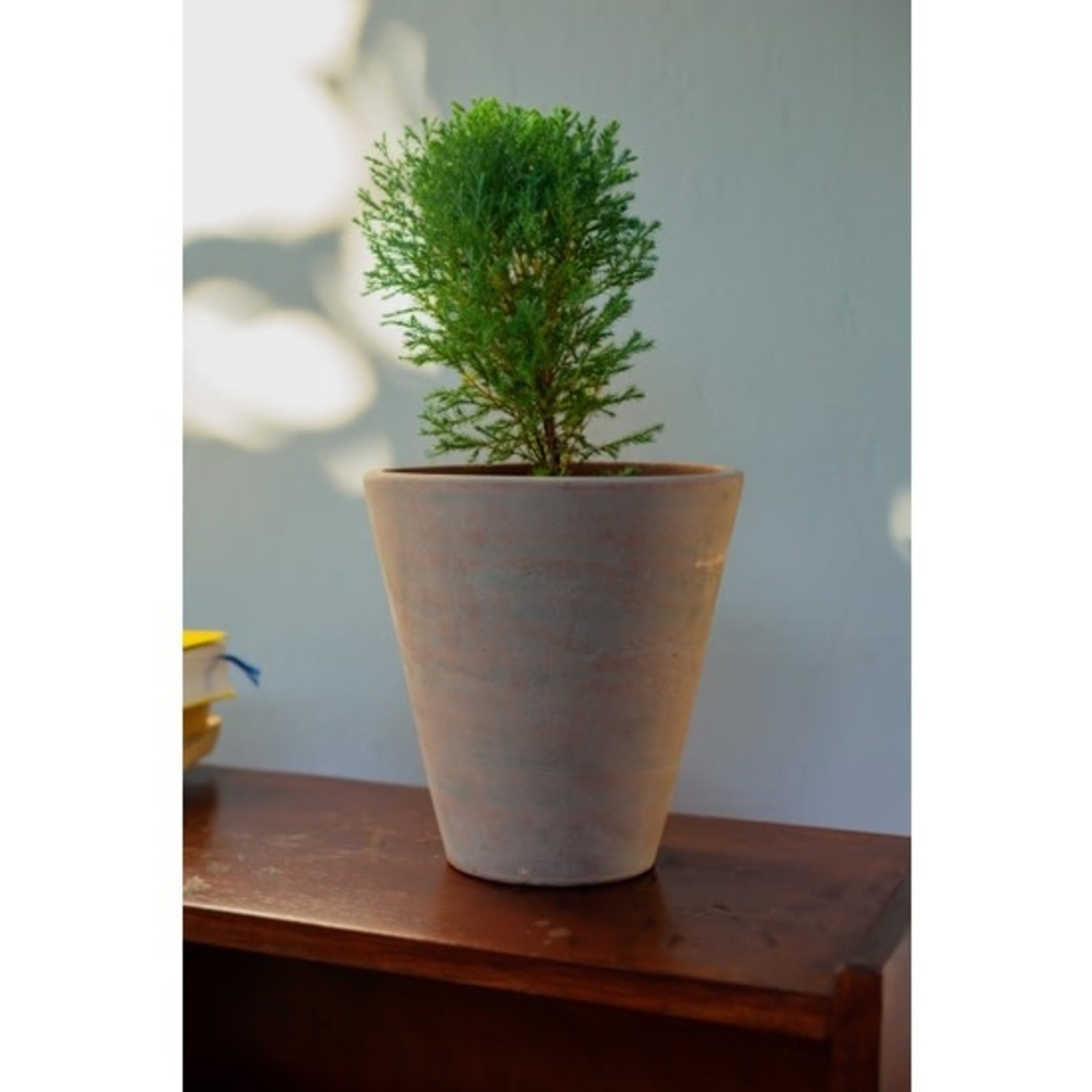 Women of the Cloud Forrest Concrete-washed Terracotta Planter Large, Nicaragua