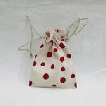 Small Ivory Gift Bag