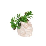 Ten Thousand Villages USA Terracotta Owl Planter Small, Bangladesh